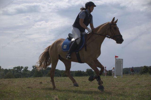 14-28-46_laura  spike